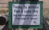Fishing regulations at Hayden Meadows